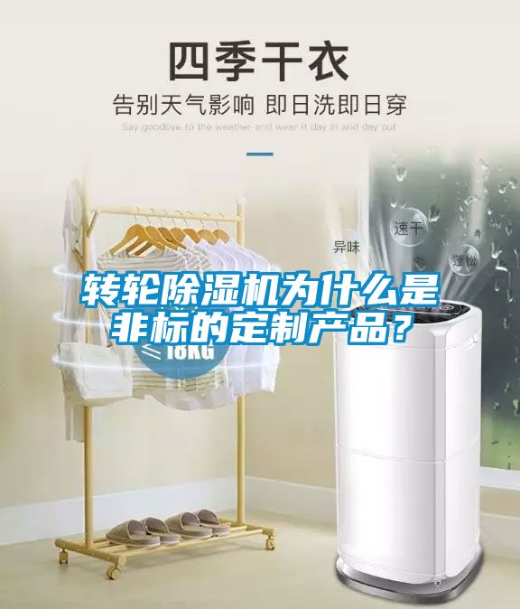 轉(zhuǎn)輪除濕機為什么是非標(biāo)的定制產(chǎn)品？