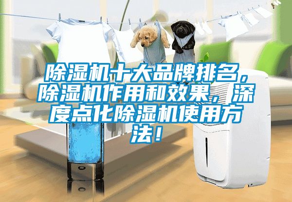 除濕機十大品牌排名，除濕機作用和效果，深度點化除濕機使用方法！
