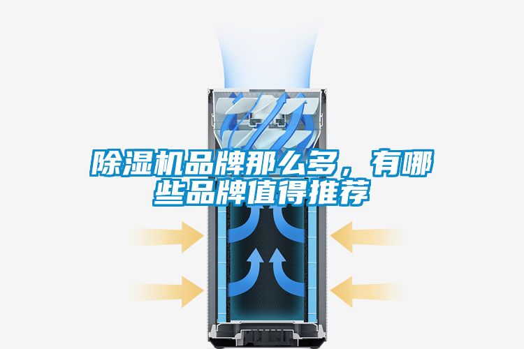 除濕機(jī)品牌那么多,有哪些品牌值得推薦