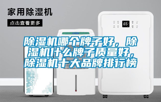 除濕機(jī)哪個牌子好，除濕機(jī)什么牌子質(zhì)量好，除濕機(jī)十大品牌排行榜