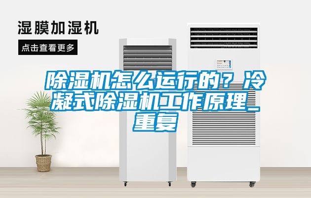 除濕機怎么運行的？冷凝式除濕機工作原理_重復