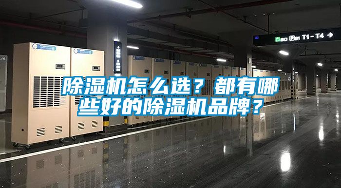 除濕機怎么選？都有哪些好的除濕機品牌？