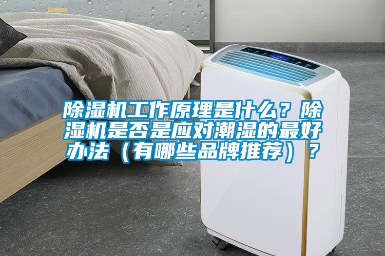 除濕機工作原理是什么？除濕機是否是應對潮濕的最好辦法（有哪些品牌推薦）？