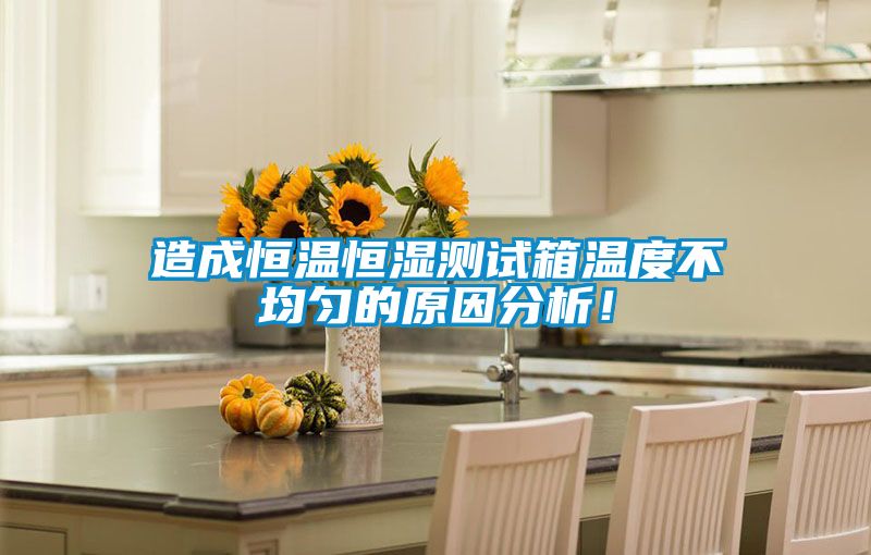 造成恒溫恒濕測試箱溫度不均勻的原因分析!