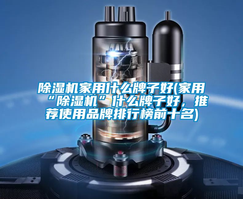 除濕機(jī)家用什么牌子好(家用“除濕機(jī)”什么牌子好，推薦使用品牌排行榜前十名)