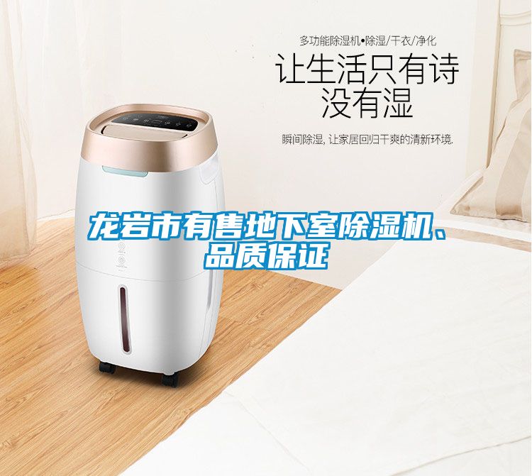 龍巖市有售地下室除濕機、品質保證