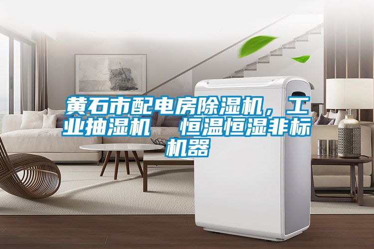 黃石市配電房除濕機，工業抽濕機  恒溫恒濕非標機器